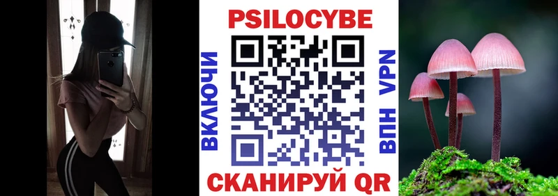 Псилоцибиновые грибы Psilocybine cubensis Весьегонск